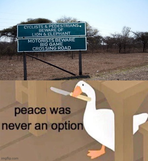 The beware sign | image tagged in untitled goose peace was never an option,funny,memes,you had one job,confused screaming,beware | made w/ Imgflip meme maker