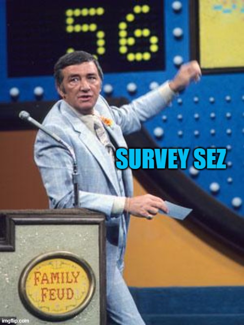 Survey Says | SURVEY SEZ | image tagged in survey says | made w/ Imgflip meme maker