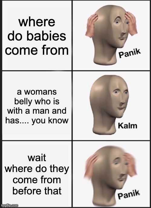 Panik Kalm Panik Meme | where do babies come from a womans belly who is with a man and has.... you know wait where do they come from before that | image tagged in memes,panik kalm panik | made w/ Imgflip meme maker