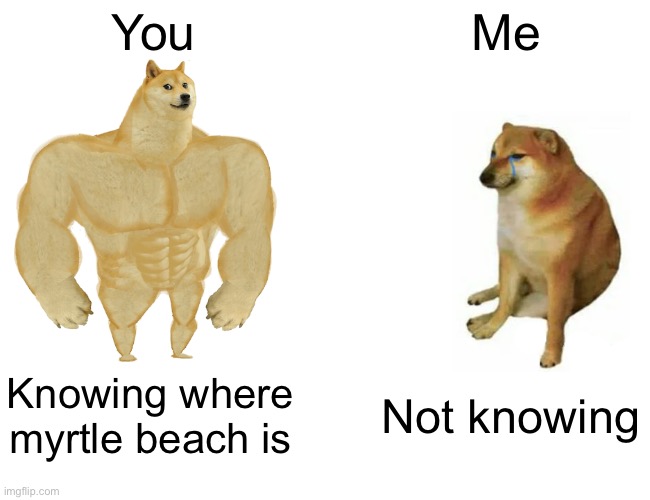 Buff Doge vs. Cheems Meme | You Me Knowing where myrtle beach is Not knowing | image tagged in memes,buff doge vs cheems | made w/ Imgflip meme maker