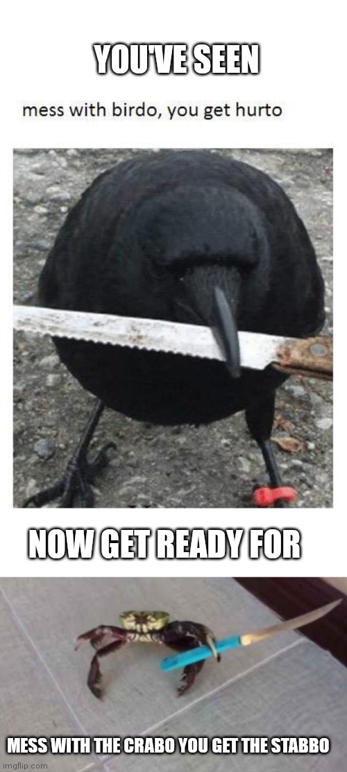 Makin this at 1:42 am while my parents talk about their kids being failures |  YOU'VE SEEN; NOW GET READY FOR; MESS WITH THE CRABO YOU GET THE STABBO | image tagged in violence,knife,bird,crab | made w/ Imgflip meme maker