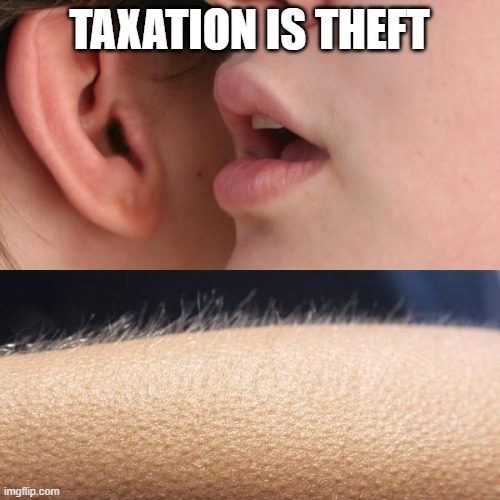 Whisper and Goosebumps | TAXATION IS THEFT | image tagged in whisper and goosebumps | made w/ Imgflip meme maker