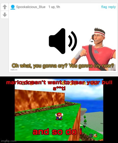 image tagged in mario does not wanna hear your bullshit | made w/ Imgflip meme maker