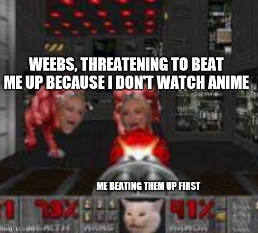 This actually happened, full story in comments | WEEBS, THREATENING TO BEAT ME UP BECAUSE I DON'T WATCH ANIME; ME BEATING THEM UP FIRST | image tagged in doom cat | made w/ Imgflip meme maker
