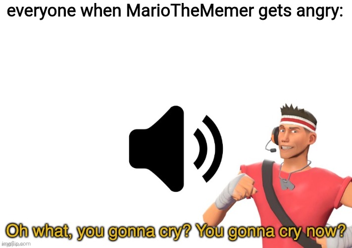 Oh what, you gonna cry? | everyone when MarioTheMemer gets angry: | image tagged in oh what you gonna cry | made w/ Imgflip meme maker
