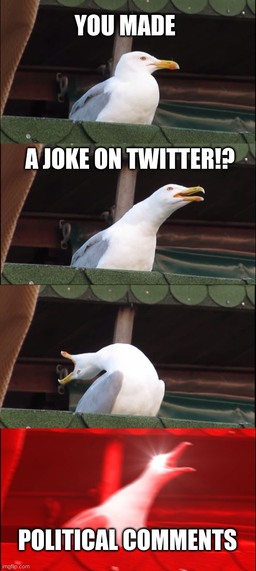 Inhaling Seagull | YOU MADE; A JOKE ON TWITTER!? POLITICAL COMMENTS | image tagged in memes,inhaling seagull | made w/ Imgflip meme maker