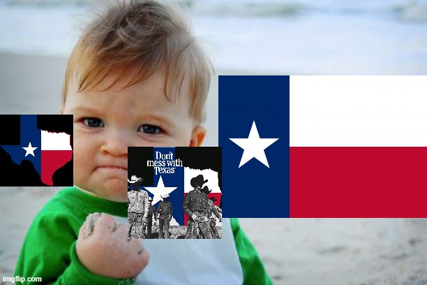 texas | image tagged in memes,success kid original,texas | made w/ Imgflip meme maker