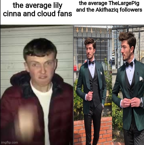 yes | the average TheLargePig and the Akifhaziq followers; the average lily cinna and cloud fans | made w/ Imgflip meme maker