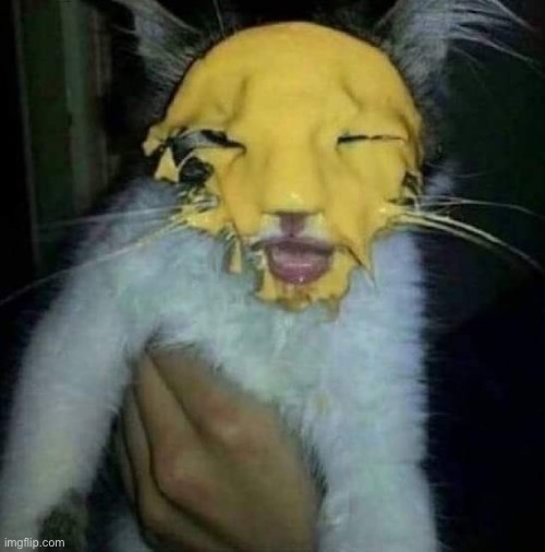 No way it’s cheese cat from cookie run: ovenbreak | made w/ Imgflip meme maker