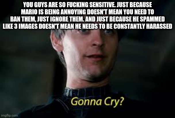 Istg | YOU GUYS ARE SO FUCKING SENSITIVE. JUST BECAUSE MARIO IS BEING ANNOYING DOESN'T MEAN YOU NEED TO BAN THEM, JUST IGNORE THEM. AND JUST BECAUSE HE SPAMMED LIKE 3 IMAGES DOESN'T MEAN HE NEEDS TO BE CONSTANTLY HARASSED | image tagged in gonna cry | made w/ Imgflip meme maker