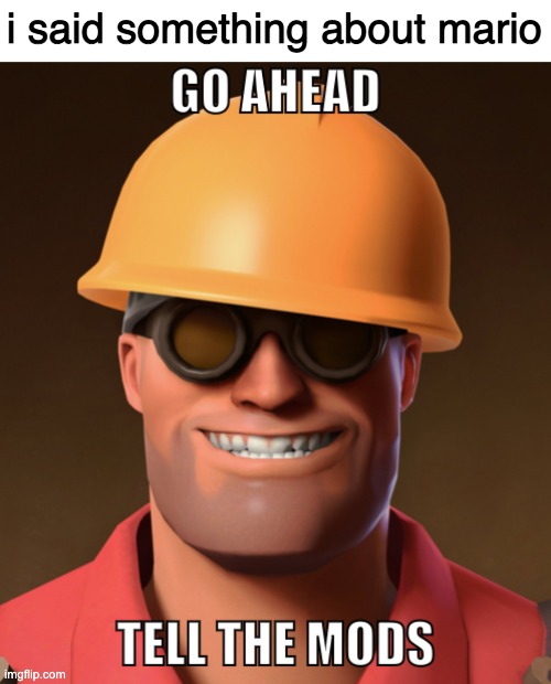 Go ahead, tell the mods. | i said something about mario | image tagged in go ahead tell the mods | made w/ Imgflip meme maker