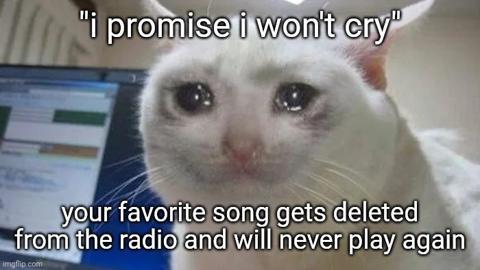 i promise | "i promise i won't cry"; your favorite song gets deleted from the radio and will never play again | image tagged in cat cry | made w/ Imgflip meme maker