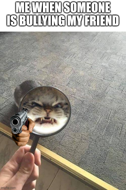 Yet another cat meme. | ME WHEN SOMEONE IS BULLYING MY FRIEND | image tagged in cat | made w/ Imgflip meme maker