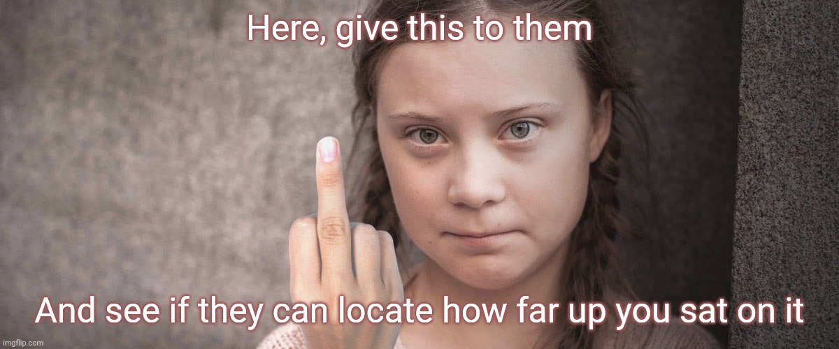 Here, give this to them And see if they can locate how far up you sat on it | image tagged in greta thunberg flip off | made w/ Imgflip meme maker