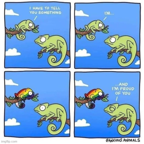 To be fair, Animals don't care in the first place xD | image tagged in lgbtq,cute,comics/cartoons,chameleon,wholesome | made w/ Imgflip meme maker