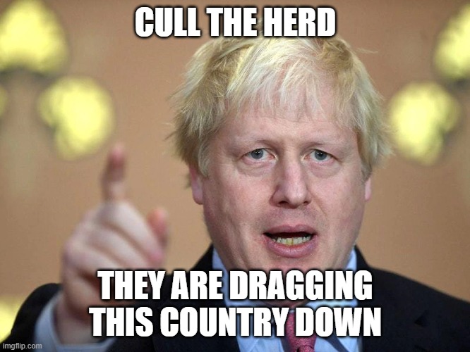 Boris Johnson | CULL THE HERD; THEY ARE DRAGGING THIS COUNTRY DOWN | image tagged in boris johnson | made w/ Imgflip meme maker