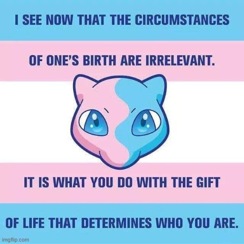 You said it, Mew! | image tagged in mew,memes,pokemon,lgbtq,transgender,inspirational quote | made w/ Imgflip meme maker