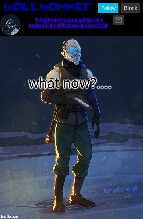 what now?.... | image tagged in wallhammer temp | made w/ Imgflip meme maker