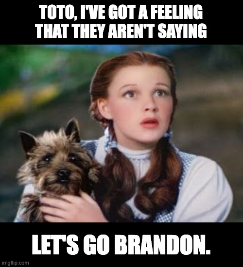Let's go Brandon | TOTO, I'VE GOT A FEELING THAT THEY AREN'T SAYING; LET'S GO BRANDON. | image tagged in what is going on | made w/ Imgflip meme maker