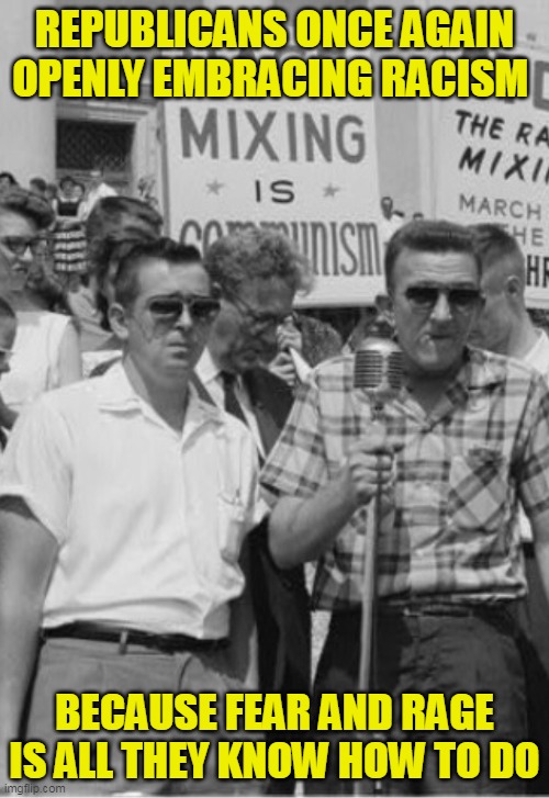 They could scrub America of all non-white groups and they would still blame them for everything wrong in America | REPUBLICANS ONCE AGAIN OPENLY EMBRACING RACISM; BECAUSE FEAR AND RAGE IS ALL THEY KNOW HOW TO DO | image tagged in 60's racists | made w/ Imgflip meme maker