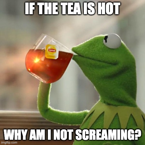 if the tea is hot, why wouldn't he scream? | IF THE TEA IS HOT; WHY AM I NOT SCREAMING? | image tagged in memes,but that's none of my business,kermit the frog | made w/ Imgflip meme maker