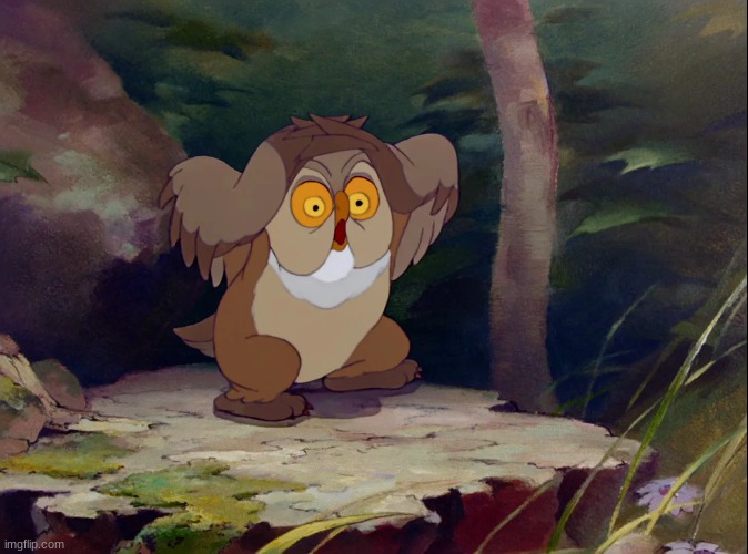 Friend Owl's reaction | image tagged in disney,bambi | made w/ Imgflip meme maker