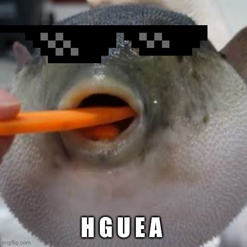 Æugh | H G U E A | image tagged in ugh | made w/ Imgflip meme maker