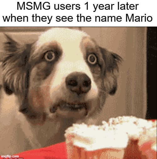 I GET MARIO PTSD | MSMG users 1 year later when they see the name Mario | image tagged in ptsd dog | made w/ Imgflip meme maker