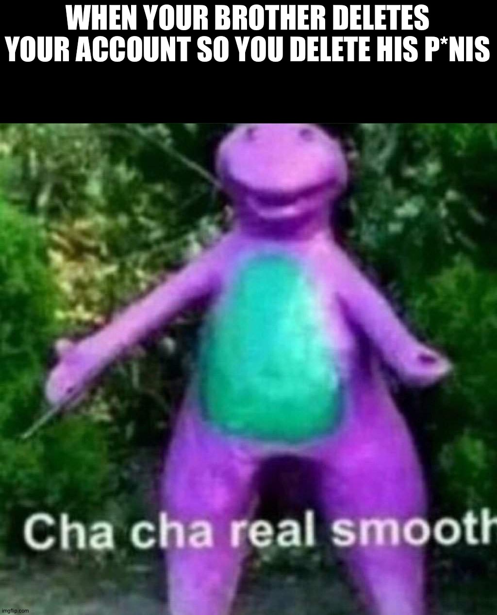 Cha Cha Real Smooth | WHEN YOUR BROTHER DELETES YOUR ACCOUNT SO YOU DELETE HIS P*NIS | image tagged in cha cha real smooth | made w/ Imgflip meme maker