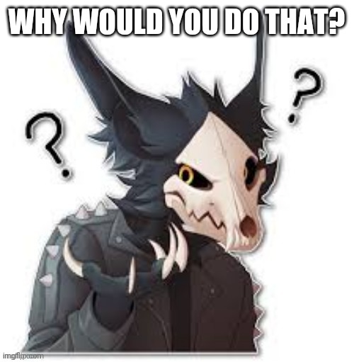 wingedwolf94 Wtf? | WHY WOULD YOU DO THAT? | image tagged in wingedwolf94 wtf | made w/ Imgflip meme maker