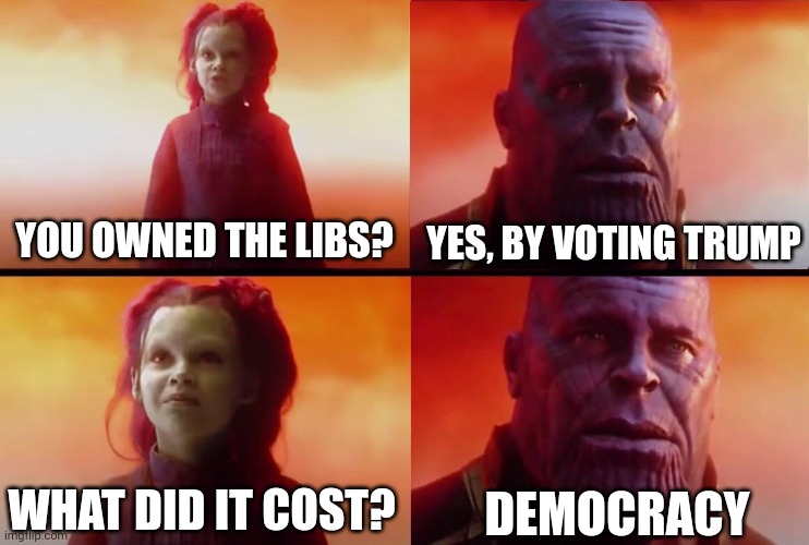 What did it cost? | YES, BY VOTING TRUMP; YOU OWNED THE LIBS? DEMOCRACY; WHAT DID IT COST? | image tagged in what did it cost | made w/ Imgflip meme maker