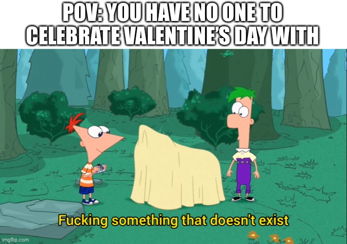 POV: YOU HAVE NO ONE TO CELEBRATE VALENTINE’S DAY WITH | made w/ Imgflip meme maker