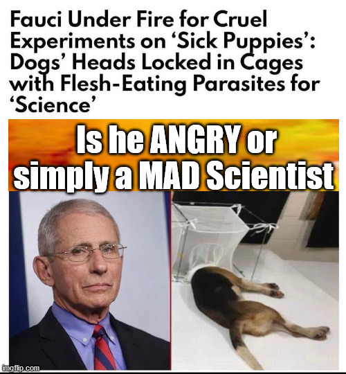 Fauci ANGRY or just a MAD Scientist | Is he ANGRY or simply a MAD Scientist | image tagged in fauci,vaccine,corona virus,mad scientist,evil | made w/ Imgflip meme maker