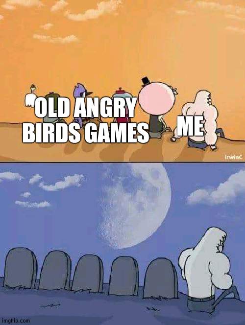childhood gone | ME; OLD ANGRY BIRDS GAMES | image tagged in childhood | made w/ Imgflip meme maker