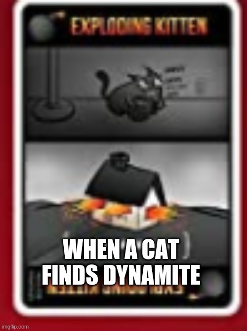 exploding cat | WHEN A CAT FINDS DYNAMITE | image tagged in exploding cat | made w/ Imgflip meme maker