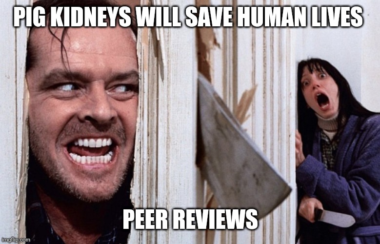 Peer reviews are garbage | PIG KIDNEYS WILL SAVE HUMAN LIVES; PEER REVIEWS | image tagged in christmas before halloween | made w/ Imgflip meme maker