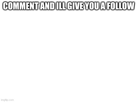 Blank White Template | COMMENT AND ILL GIVE YOU A FOLLOW | image tagged in blank white template | made w/ Imgflip meme maker