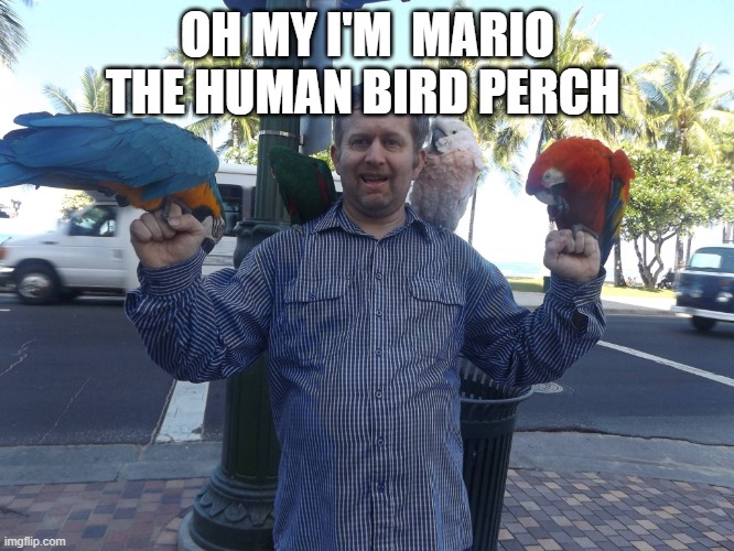 Mario Terence | OH MY I'M  MARIO THE HUMAN BIRD PERCH | image tagged in mario terence | made w/ Imgflip meme maker
