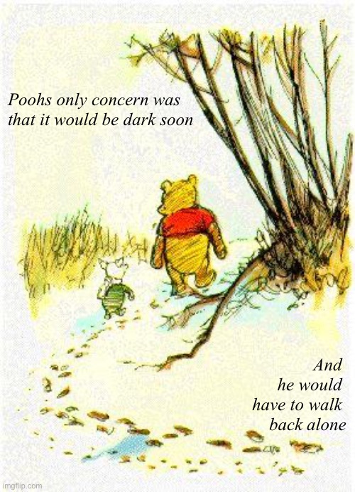 Pooh and piglet | Poohs only concern was that it would be dark soon; And 
he would 
have to walk 
back alone | image tagged in piglet pooh | made w/ Imgflip meme maker