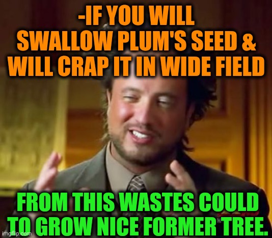 -To continue its legacy. | -IF YOU WILL SWALLOW PLUM'S SEED & WILL CRAP IT IN WIDE FIELD; FROM THIS WASTES COULD TO GROW NICE FORMER TREE. | image tagged in memes,ancient aliens,plumbing,field of dreams,seeds,grow up | made w/ Imgflip meme maker