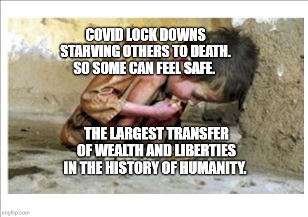 Starving child | COVID LOCK DOWNS STARVING OTHERS TO DEATH. SO SOME CAN FEEL SAFE. THE LARGEST TRANSFER OF WEALTH AND LIBERTIES IN THE HISTORY OF HUMANITY. | image tagged in starving child | made w/ Imgflip meme maker