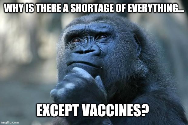 There's plenty of those. | WHY IS THERE A SHORTAGE OF EVERYTHING... EXCEPT VACCINES? | image tagged in memes | made w/ Imgflip meme maker