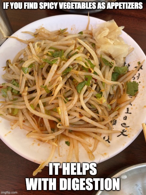 Spicy Bean Sprouts | IF YOU FIND SPICY VEGETABLES AS APPETIZERS; IT HELPS WITH DIGESTION | image tagged in food,vegetables,memes | made w/ Imgflip meme maker