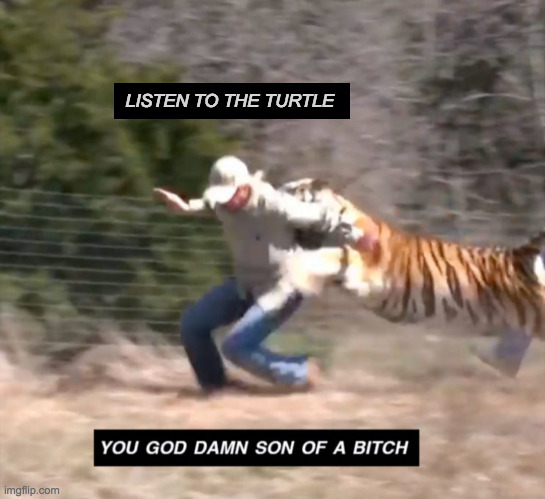 Joe exotic | LISTEN TO THE TURTLE | image tagged in joe exotic | made w/ Imgflip meme maker