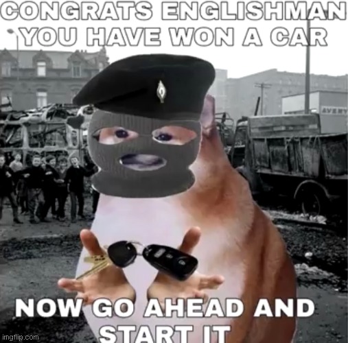 IRA Doge | image tagged in ira doge | made w/ Imgflip meme maker