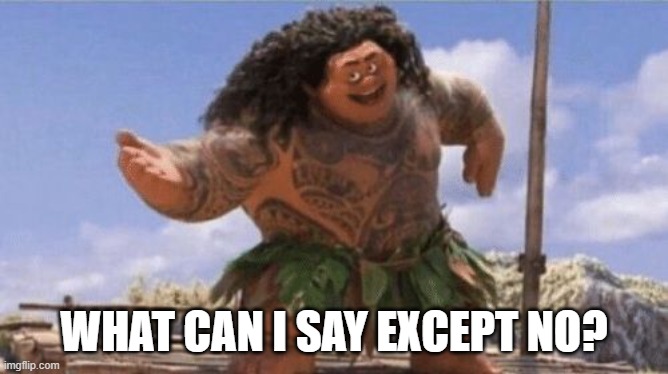 What Can I Say Except X? | WHAT CAN I SAY EXCEPT NO? | image tagged in what can i say except x | made w/ Imgflip meme maker