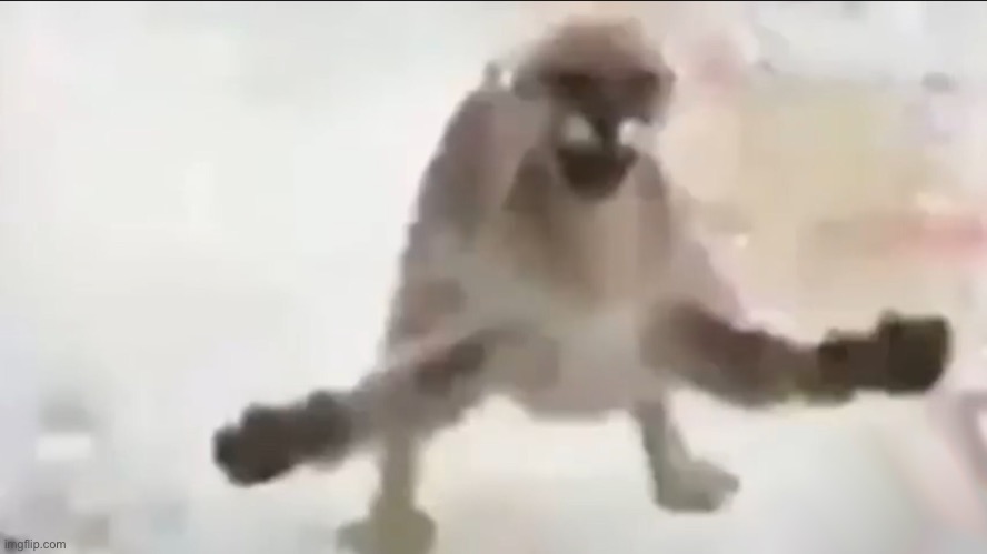 Shitpost | image tagged in angy floppa | made w/ Imgflip meme maker
