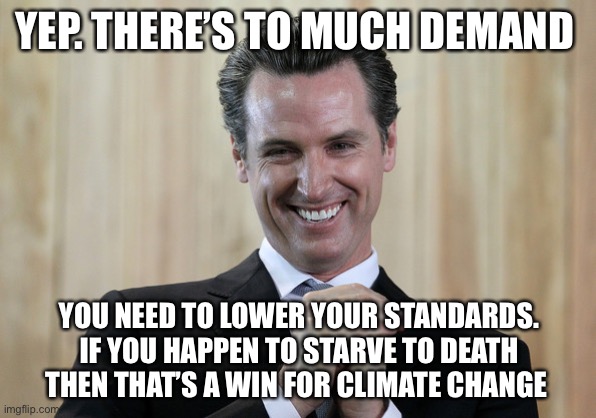 Scheming Gavin Newsom  | YEP. THERE’S TO MUCH DEMAND YOU NEED TO LOWER YOUR STANDARDS. IF YOU HAPPEN TO STARVE TO DEATH THEN THAT’S A WIN FOR CLIMATE CHANGE | image tagged in scheming gavin newsom | made w/ Imgflip meme maker