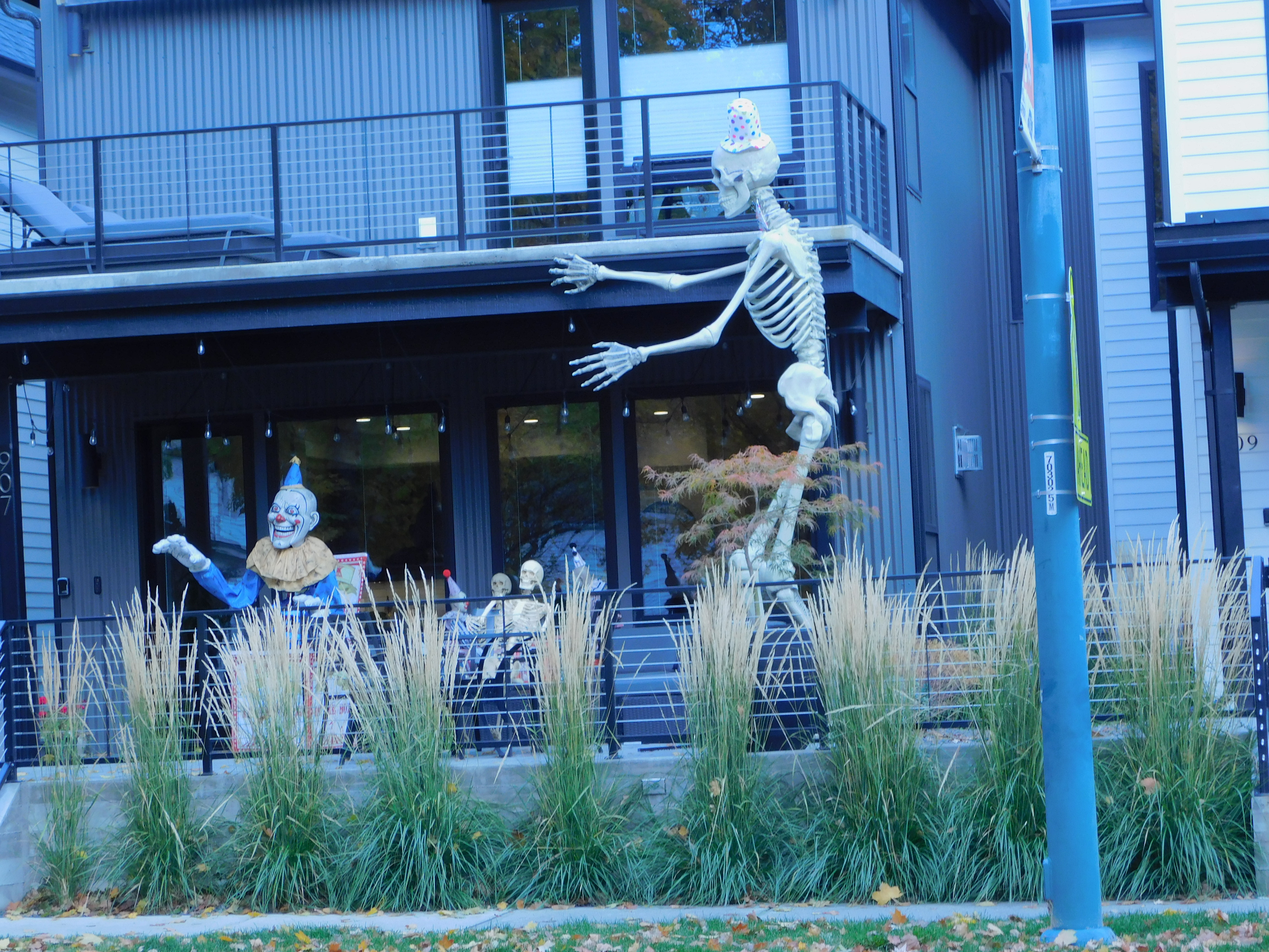 Downtown CDA 20 foot skeleton | image tagged in photos | made w/ Imgflip meme maker