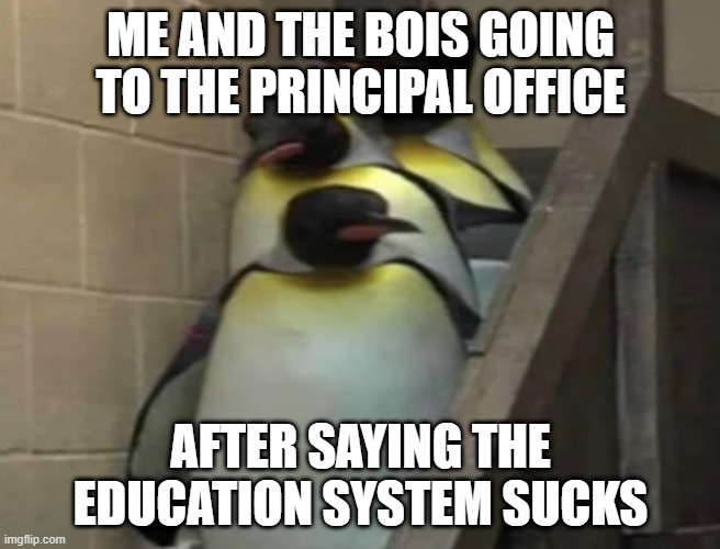 me and the bois | ME AND THE BOIS GOING TO THE PRINCIPAL OFFICE; AFTER SAYING THE EDUCATION SYSTEM SUCKS | image tagged in penguins going to principal office | made w/ Imgflip meme maker